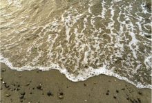 Q & A: What did Brené Brown discover is the key ingredient for overcoming failure and why is it so important in the process of change?