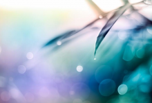 FOT Q&A: What is a felt sense?