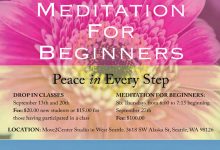 NEW Meditation for Beginners Class
