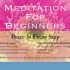 NEW Meditation for Beginners Class