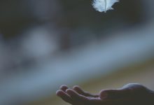 Giving Thanks