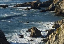 Focusing-Oriented Therapy: Learning How the Body Speaks and Listening so It Heals